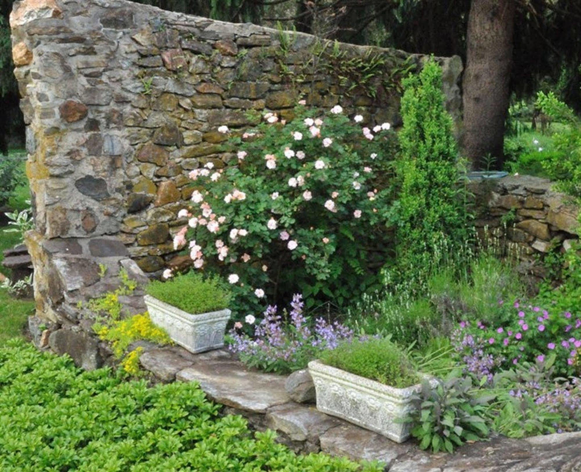 채즈포드 Wild Wisteria B&B 외부 사진