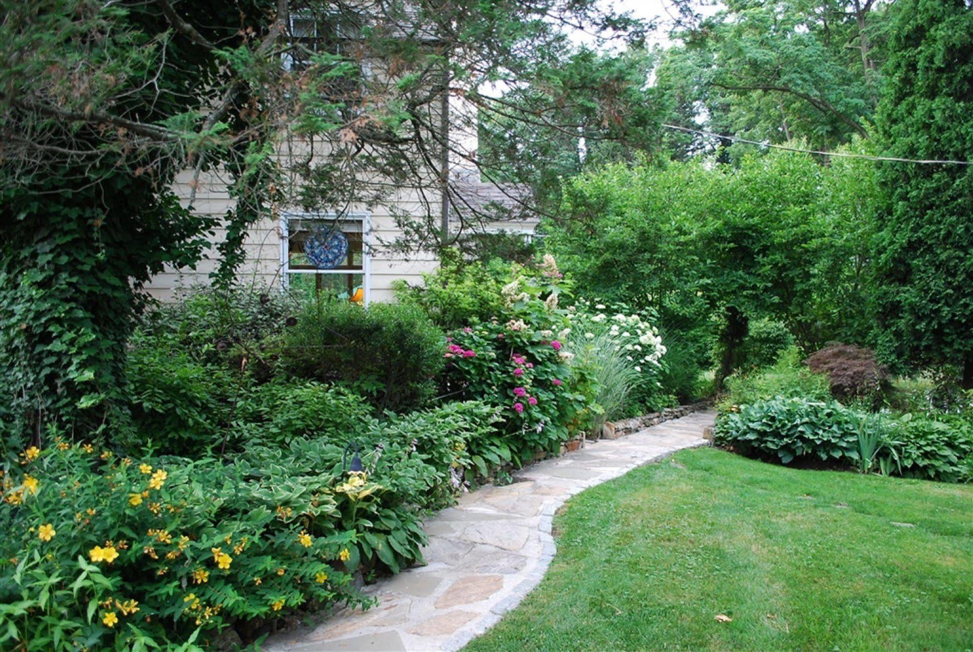 채즈포드 Wild Wisteria B&B 외부 사진