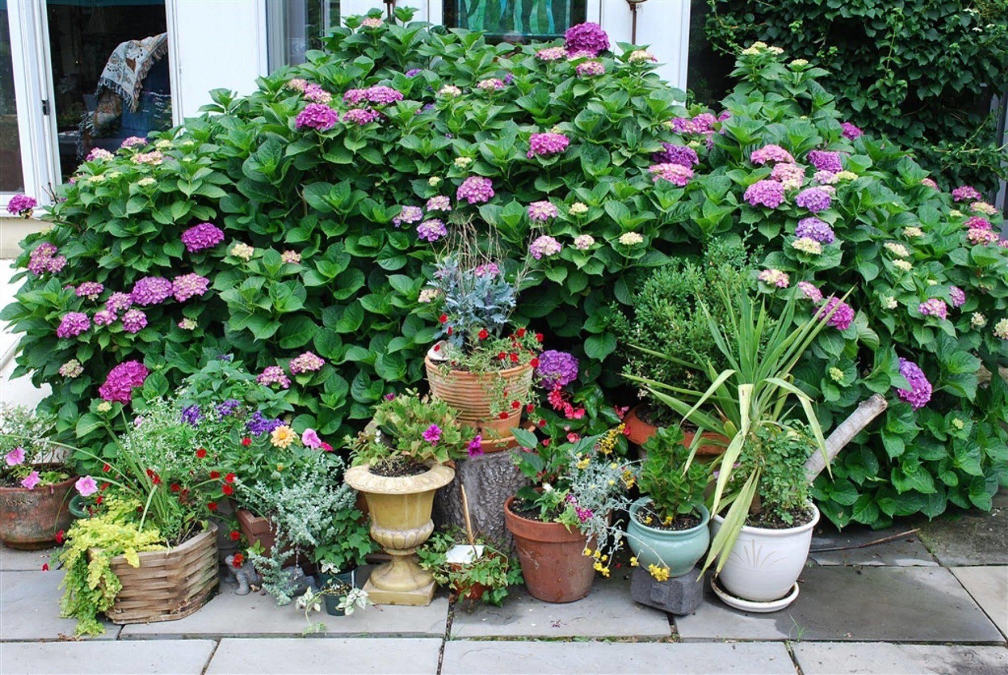 채즈포드 Wild Wisteria B&B 외부 사진