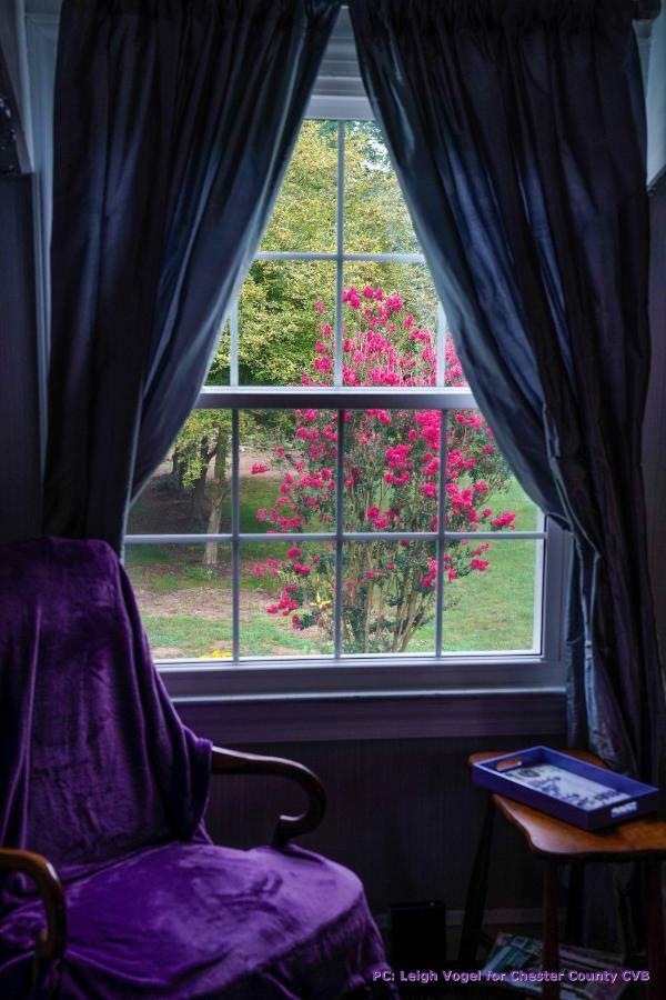 채즈포드 Wild Wisteria B&B 외부 사진