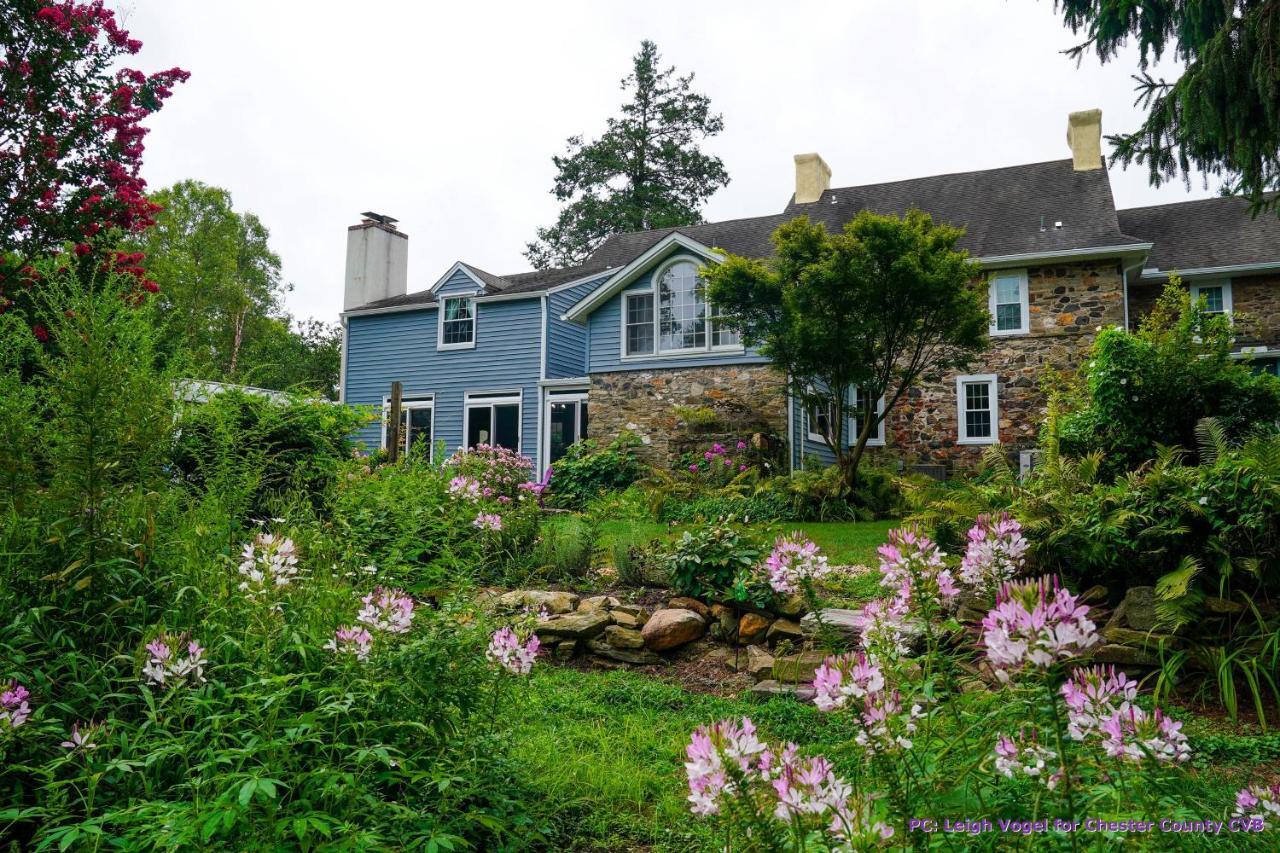 채즈포드 Wild Wisteria B&B 외부 사진