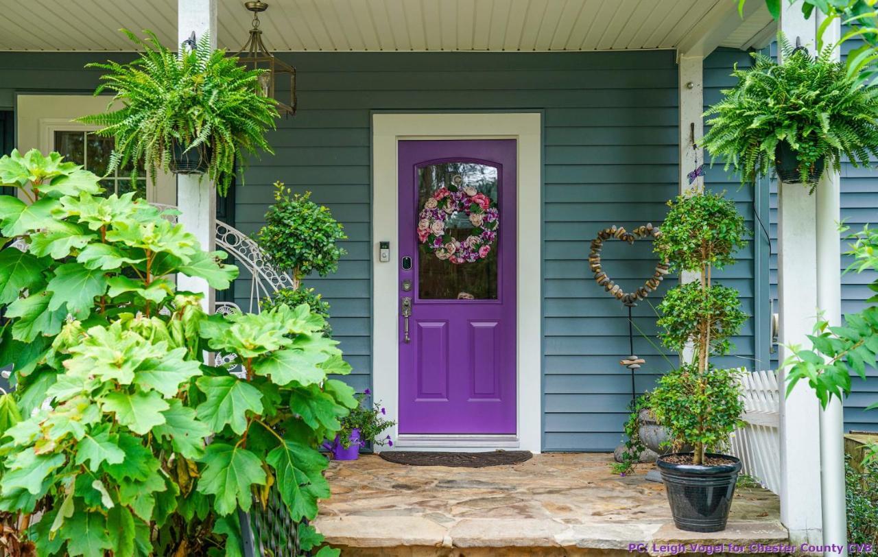 채즈포드 Wild Wisteria B&B 외부 사진