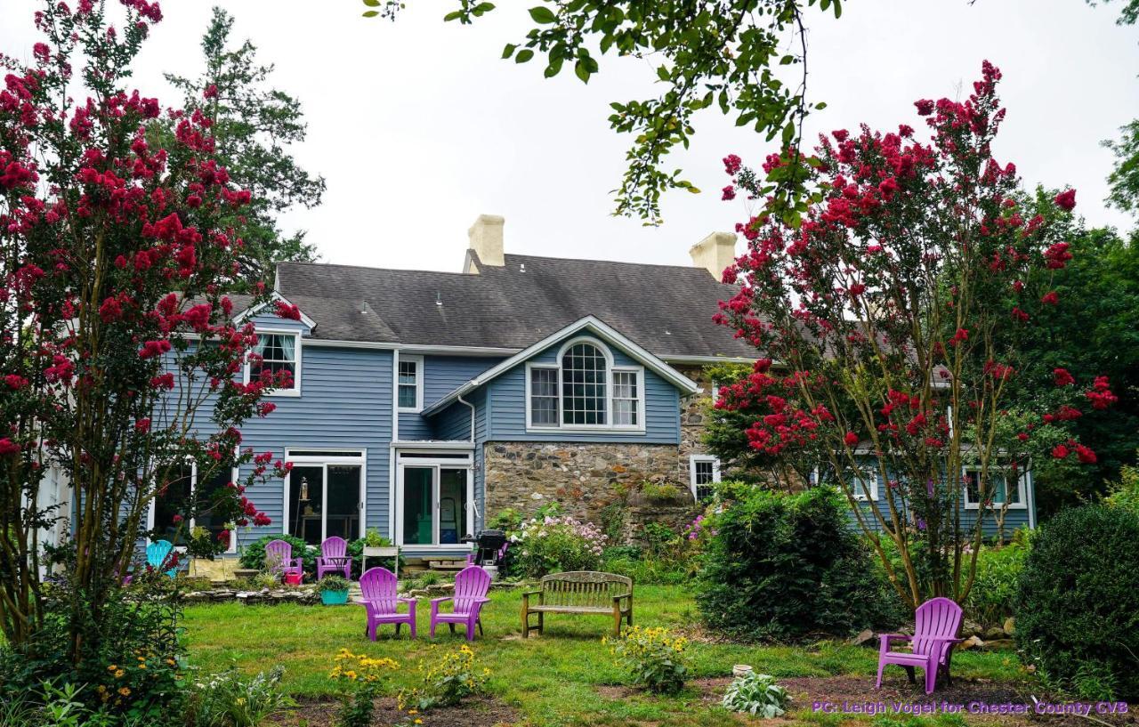 채즈포드 Wild Wisteria B&B 외부 사진